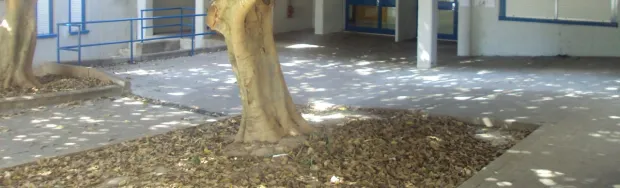 Esterno Via Mastino
